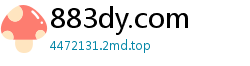 883dy.com